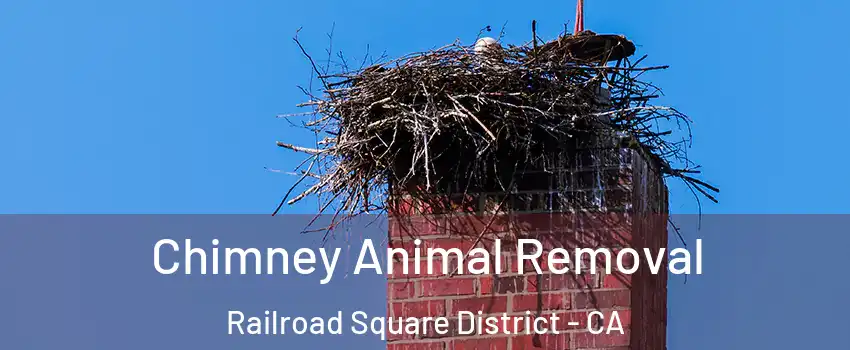 Chimney Animal Removal Railroad Square District - CA