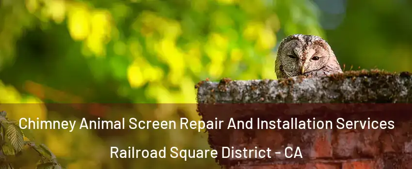 Chimney Animal Screen Repair And Installation Services Railroad Square District - CA