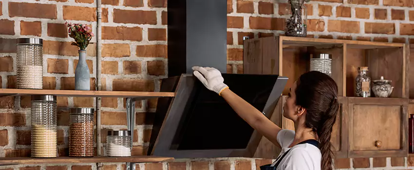 Chimney Installation in Railroad Square District, CA