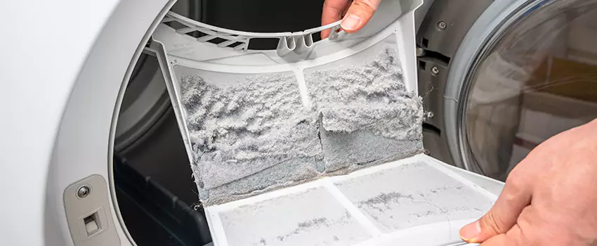 Best Dryer Lint Removal Company in Railroad Square District, California